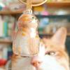 Small Ornaments Cat Fur Storage Pendant Transparent Container Cute Cat Shaped Creative Keychain Handmade Design DIY Accessories