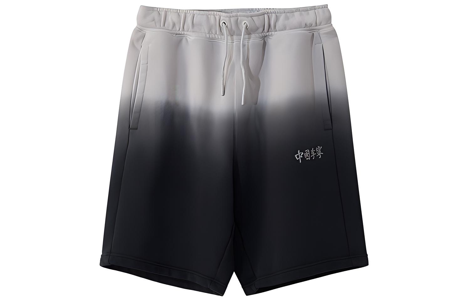 Спортивные шорты для баскетбола Li Ning Мужские Черные AKSR723-1 S