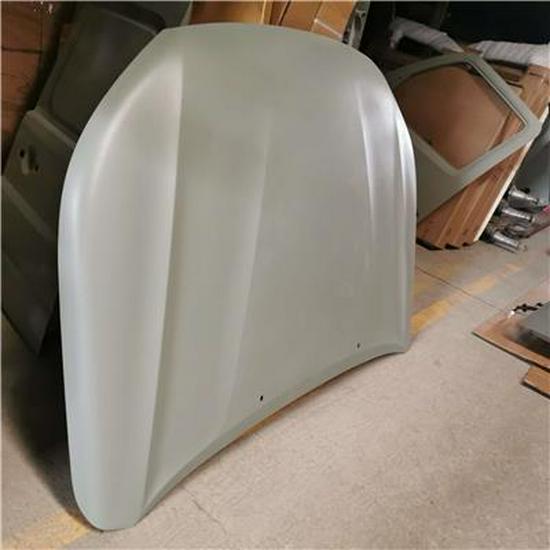 Foton Hood Assembly - Electrophoresis P1660.