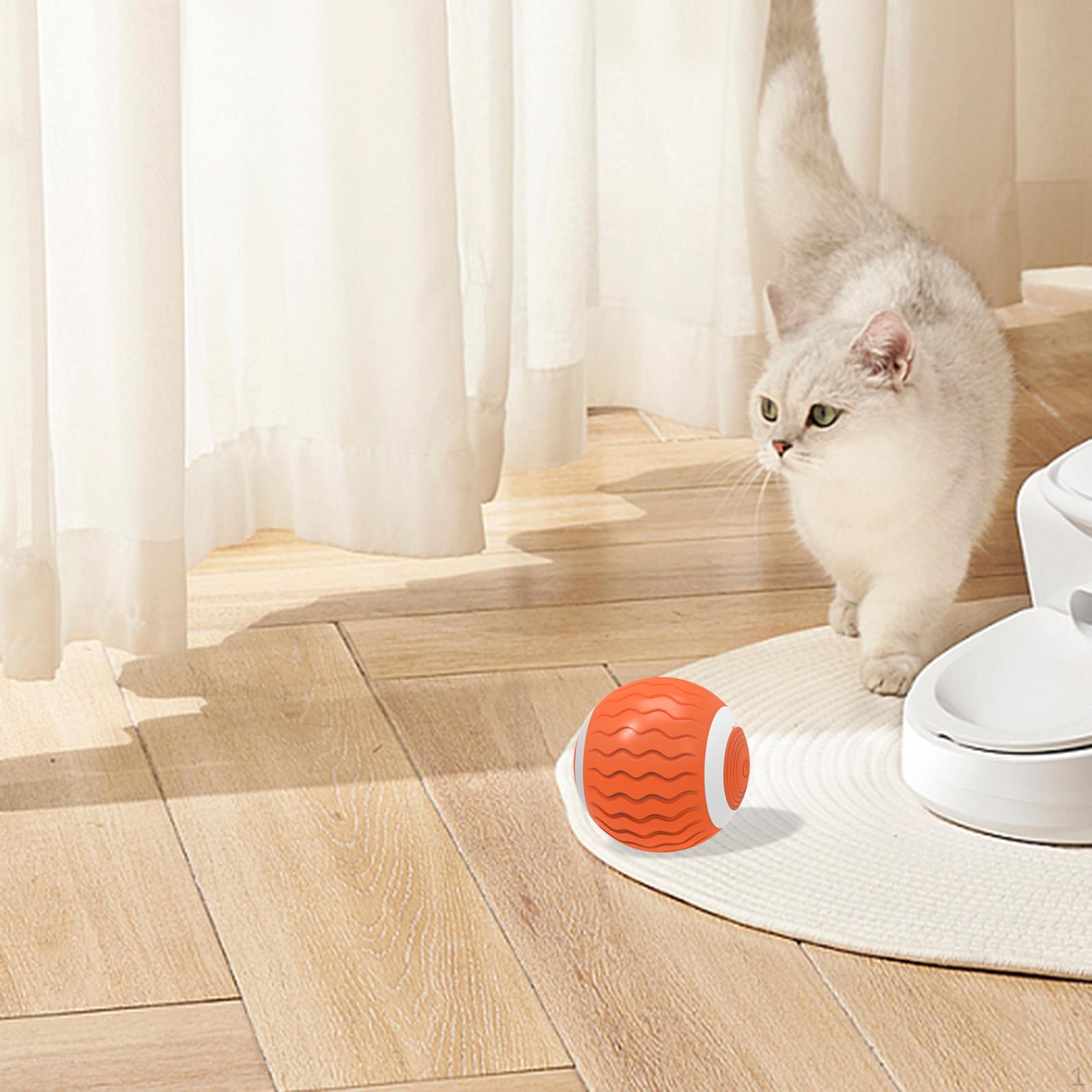 Cat Toy Ball Intelligent Funny Ball, Degree Rotatable Interactive USB Rechargeable Orange