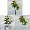 Grüne Topfpflanze Bonsai mit weißen Rändern für Heimdekoration und Foto-Requisiten