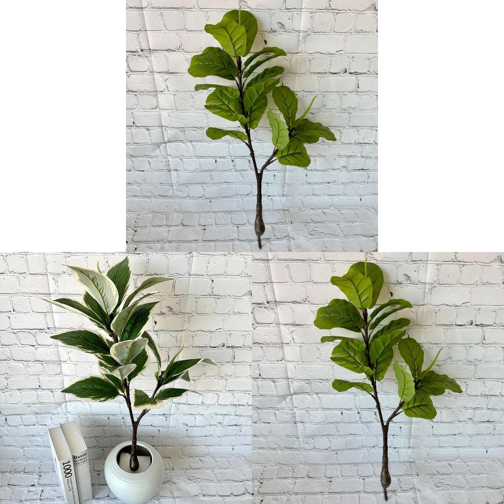 Grüne Topfpflanze Bonsai mit weißen Rändern für Heimdekoration und Foto-Requisiten