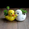 Little Duck Ceramic Flower Pot Desktop Ornament Cute  Balcony Decorations