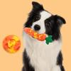 Silicone Carrot Dog Toy - Molar, Sounding, Bite-Resistant, Self-Play Boredom Relief