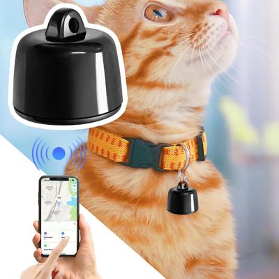 Köpek – Köpek Tasmaları ve Tasma Kayışları
