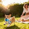 Durable Dog Toy Electric Jumping Ball Automatic Bouncing Chew Proof Ball for Aggressive Chewers Interactive Pet Chew Toy