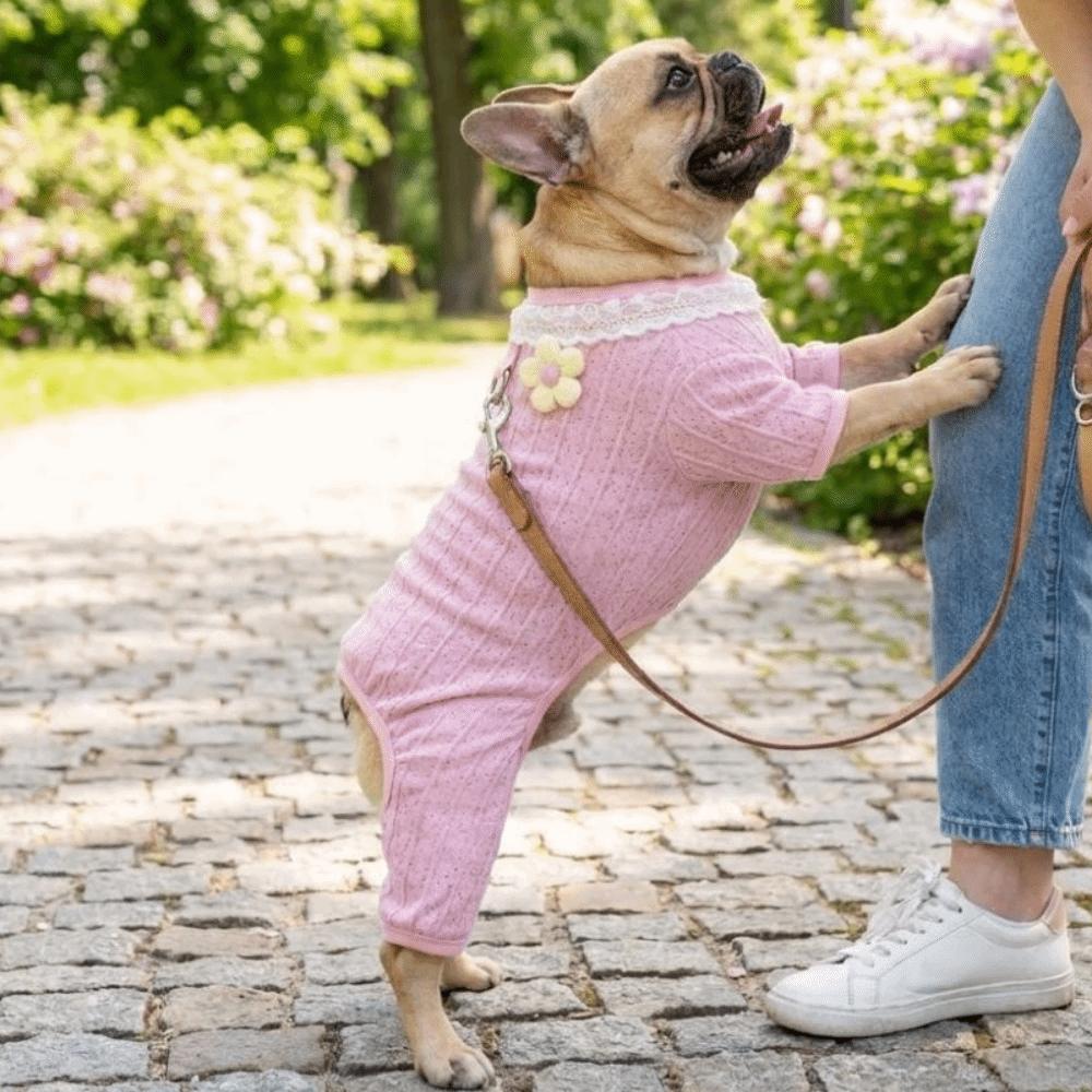 Hollow Mesh Pet Sunscreen Costume Thin Breathable Four Legged Clothes  Summer Wear