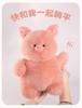 Cute Koala Plush Toy Pillow - Perfect Gift for Girlfriend or Best Friend