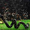 Plastic Plastic Aquarium Air Stone Double End Double Head Oxygen Diffuser Tube Bendable Hose Black Aeration Diffuser