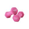 SONGMICS Set de 2 gantere, 2 x 0,5 kg Greutăți de mână anti-alunecare din neopren cu finisaj mat, Antrenament acasă, Exercițiu de antrenament fitness, Roz