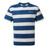 CRAGHOPPERS Mens Denali Striped T-Shirt