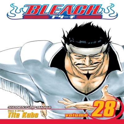 Bleach Vol. 28 by Tite Kubo Paperback Book 9781421523866