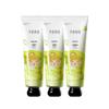 Essential Oil Fragrance Hand Cream Set
