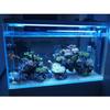 Aquarium CO2 Atomizer Plastic Diffuser Fish Tank Bubble Generator Equipment for Freshwater Aquarium