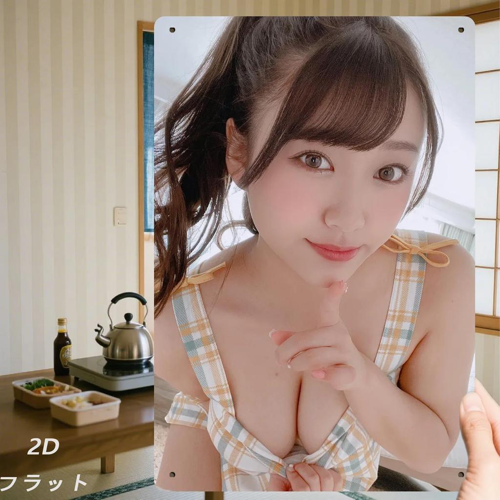 Vintage Metal Wall Sign - Retro 2D Flat Iron Poster 8x12 Inch