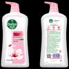 Dettol Nourishing & Moisturizing Shower Gel Twin Pack