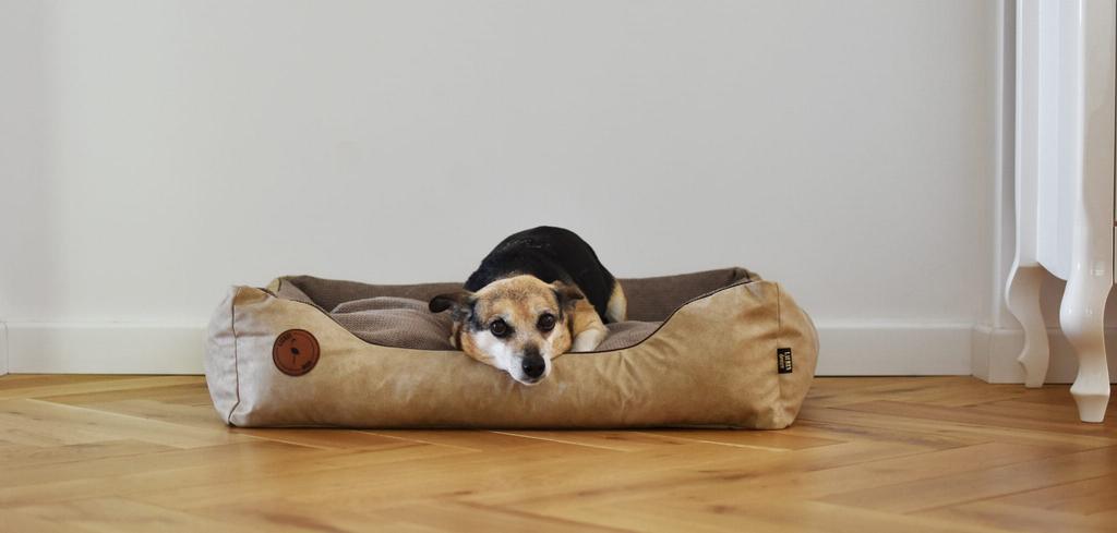Cezar Sand Sofa - 60Cm X 50Cm