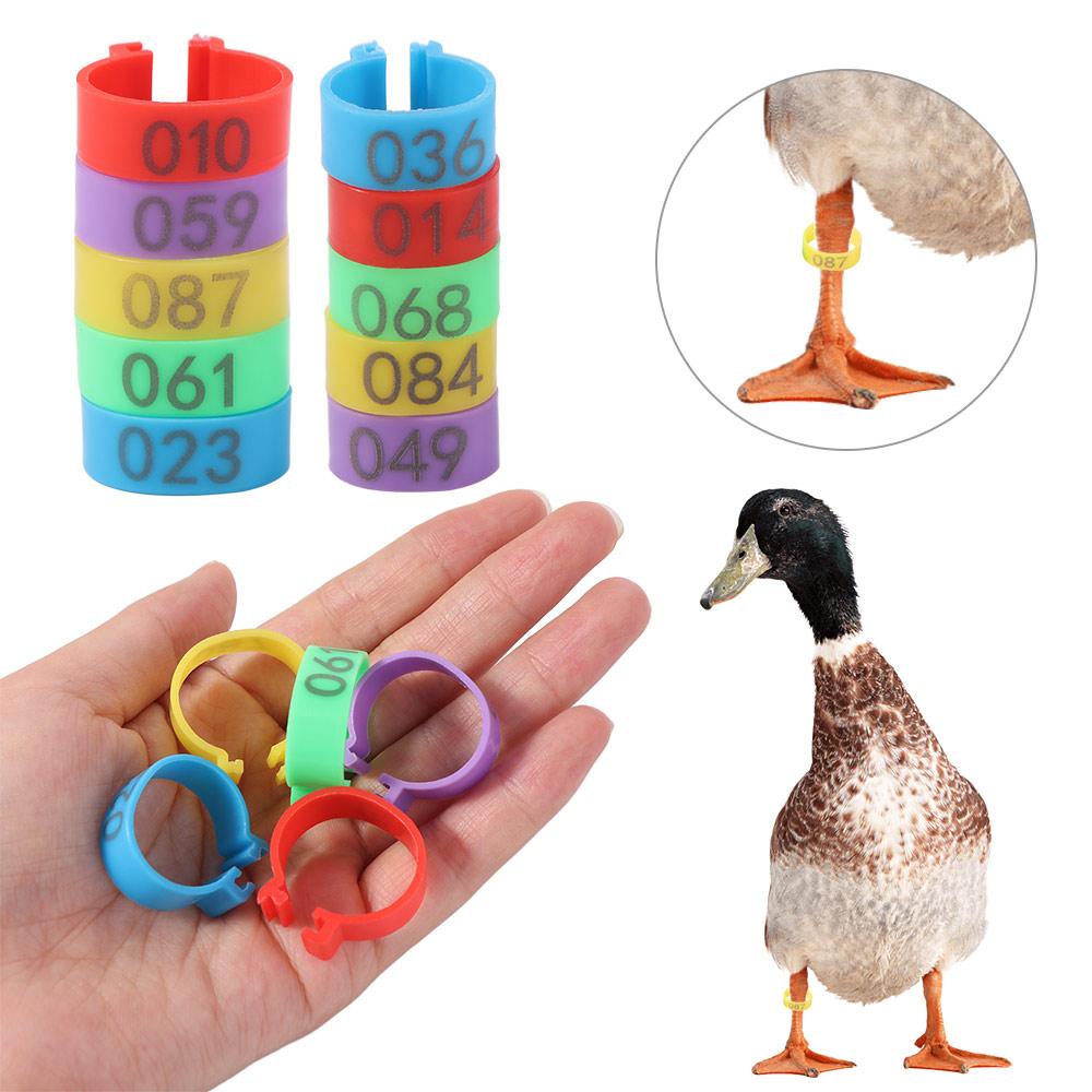 100pcs Portable Poultry Ankle Bands Mixed Colour Band Foot Ring  Poultry Accessories