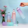 Gradient Frosted 750ml Sports Water Bottle with Straw