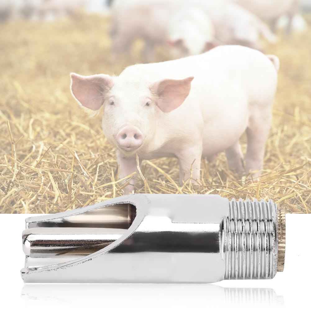 5Pcs Flat Automatic Pig Drinker Removable Livestock Drinking Tool Pigs Farm Equipment