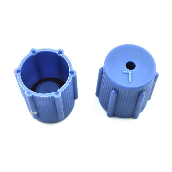 10 Stk/sett R134a Cap Set 16mm Rød 13mm Blå Bil Klimaanlegg Støvhetter for AC System Ladeport Caps 5 sett Blå lav side 5 sett rød høy side