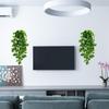 Artificial Hanging Vine Plant for Home Décor: Ideal for Living Room, Bedroom, Bathroom, Kitchen, Windowsill, Balcony, and Courtyard.