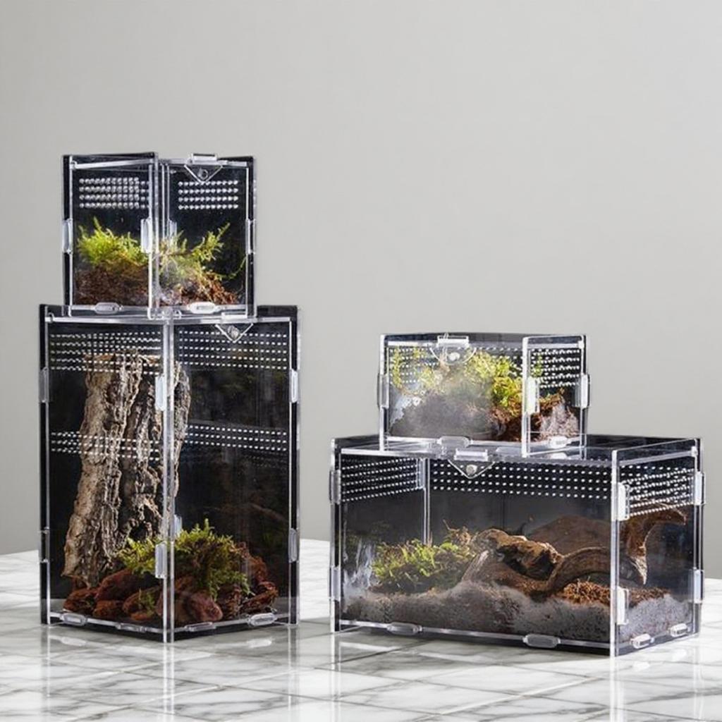 Acrylic Transparent Terrarium Enclosure Assembly Kit For Insects Reptiles Pets Home Display For Hobbyists Kids Birthday Gift