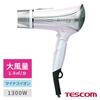 Tescom Hair Dryer, Negative Ion, Foldable, High Airflow, Easy-to-Remove Plug, Prism White, TID1100B-W