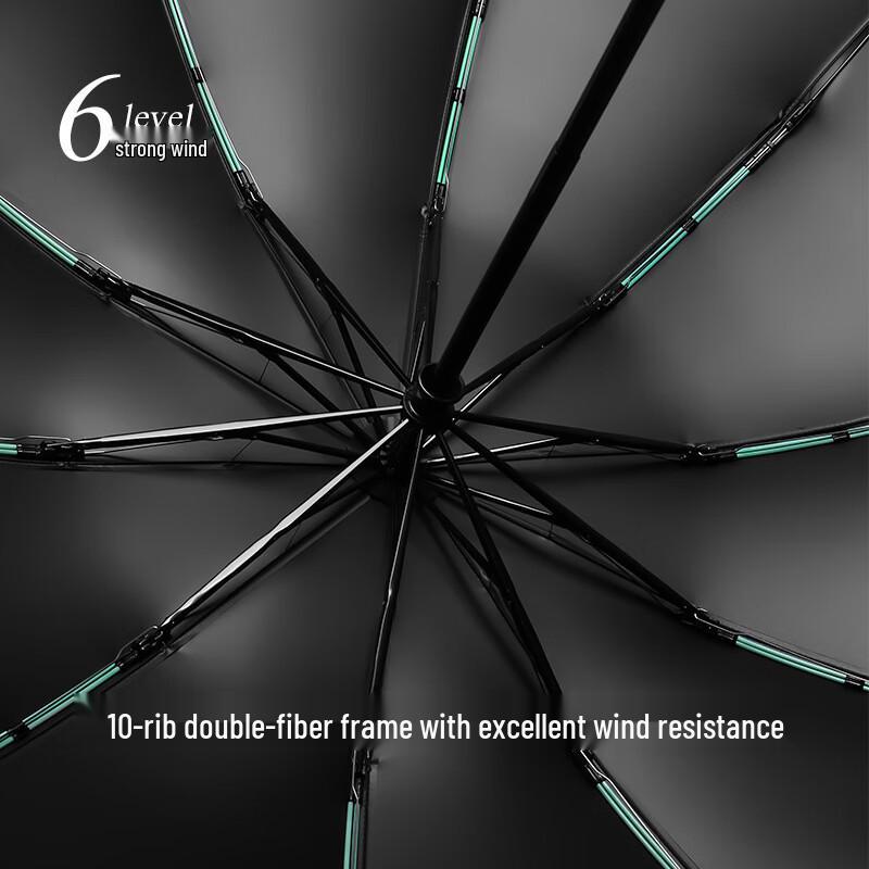 Xuqing 10-Rib Automatic Reverse Black-Coated Sun/Rain Umbrella