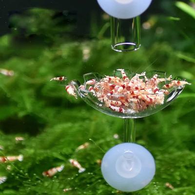 Aquarium Fish Tank Shrimp Food  Feeder Clear Glass Feeding Tube Dish Suction