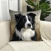 1 Stück Border Collie Kissenbezüge Schlafzimmer Sofa Quadratischer Kissenbezug Wohnzimmer Stuhl Kissenbezüge Innen Hausdekoration Geschenk