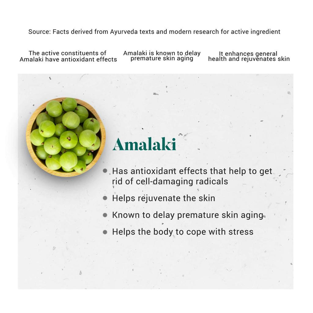 Himalaya Immunity Wellness Amalaki Tabletten 60 Stück Natürliches Antioxidans-Nahrungsergänzungsmittel für tägliche Gesundheit und Immununterstützung