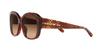 Sunglasses HC8363U CH564 CARAMEL TORTOISE GRADIENT Lens 56 [Coach] Frame/BROWN