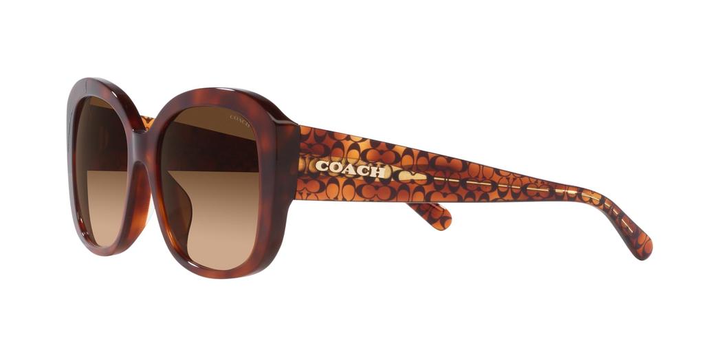 Sunglasses HC8363U CH564 CARAMEL TORTOISE GRADIENT Lens 56 [Coach] Frame/BROWN
