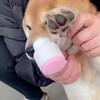 Hunde – Hundepflege-Artikel