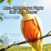 Leak-Proof Parrot Diaper Vest Breathable Parrot Flying Clothing Bird Flight Suit  Bird Training