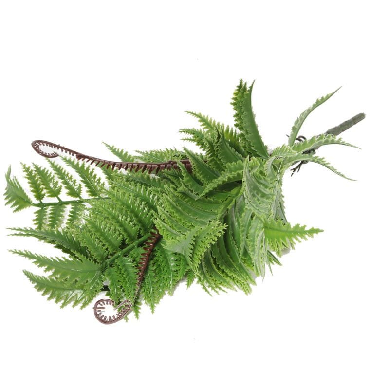Bouquet of 9 Ferns with Offshoots 42 Cm