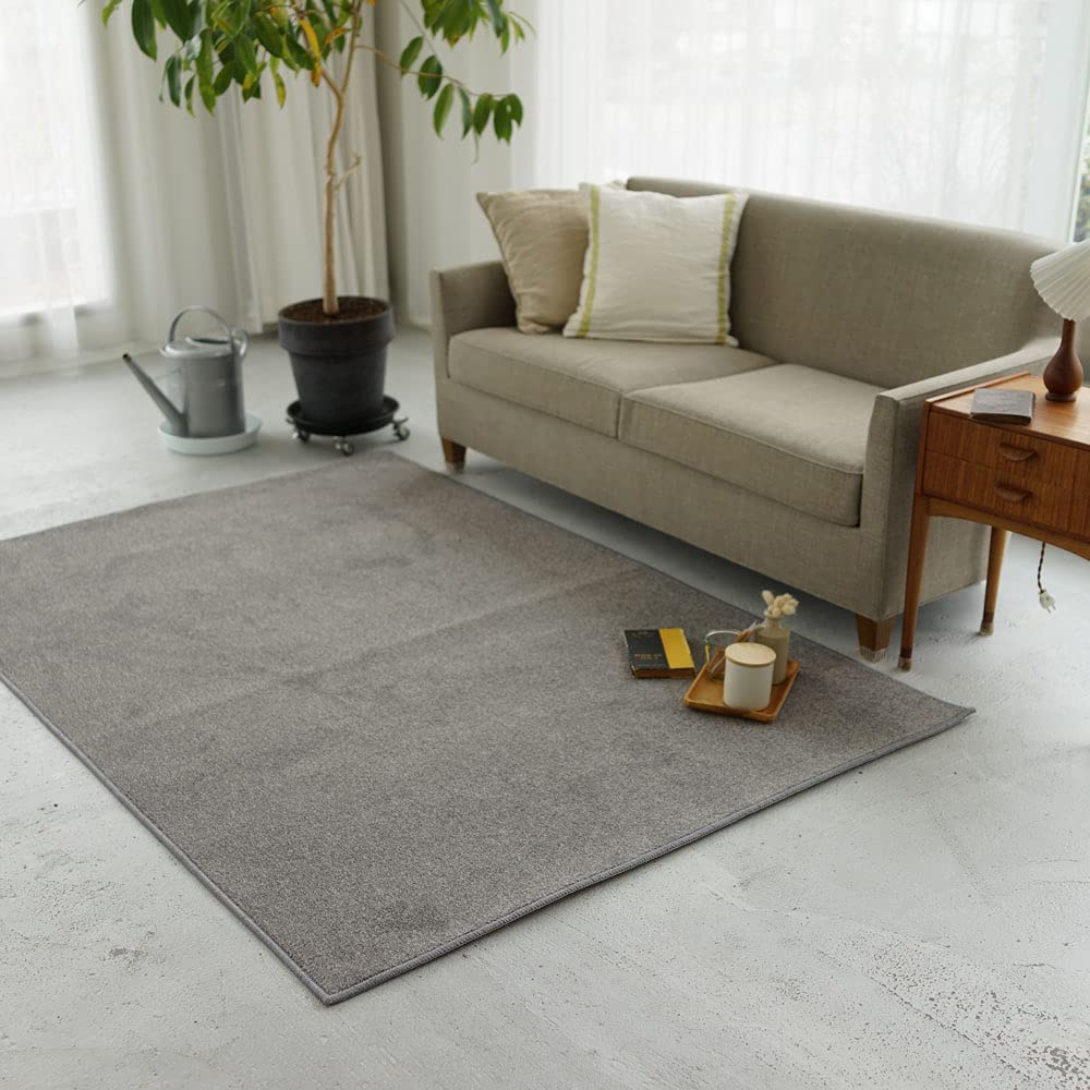 Suminoe Custom Rug, Dark Gray, 80cm Wide X 105cm Long, ECOROA, Flame Retardant, Deodorizing