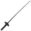 Toy Rapier, Pirate Sword, Fencing, Cosplay, Halloween, Pretend Play.
