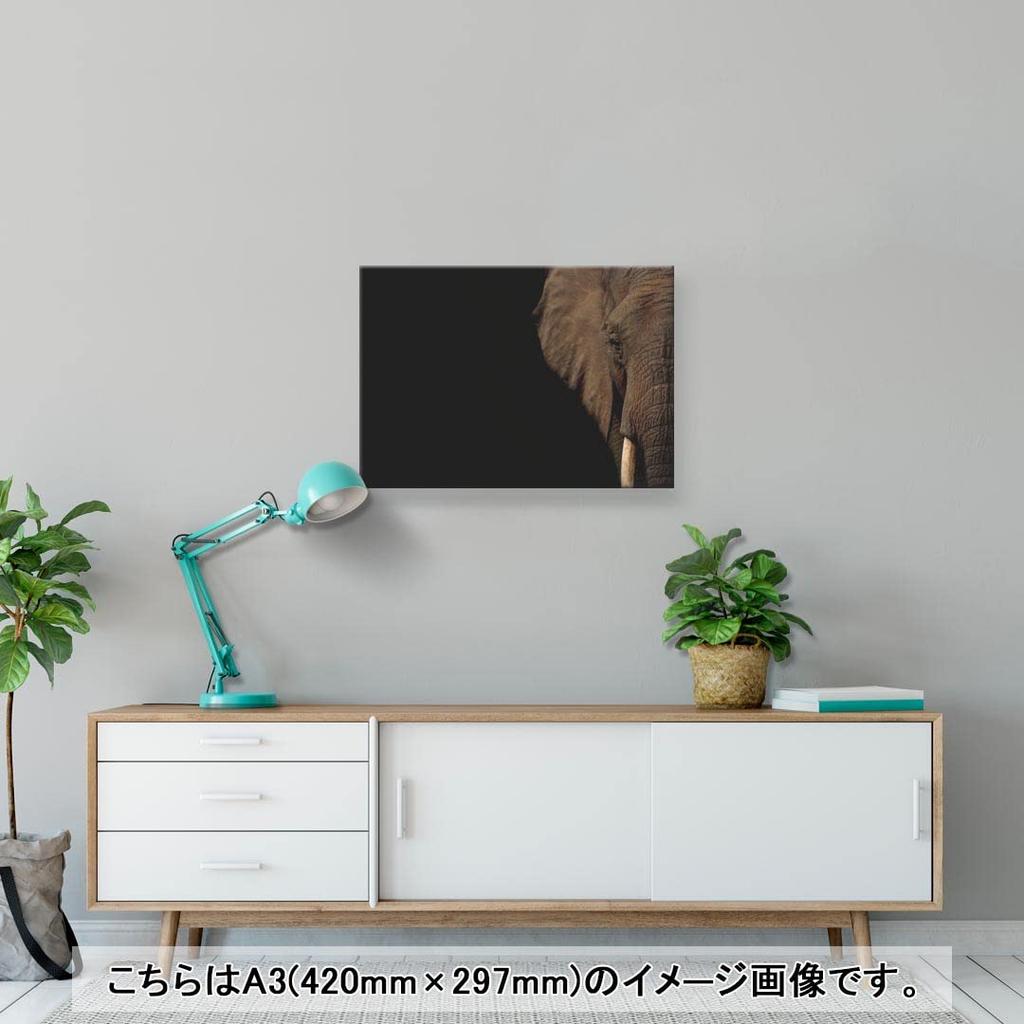 Art 420mm x Wall Wooden Stylish Interior Animal Panel, Painting, Decoration, igsticker, 297mm, A3, Photo, Hanging, Frame, Decor, 023247, Elephant,