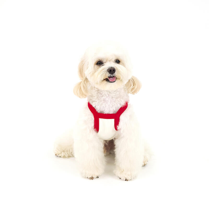 

[KINIKIN]SWAG COVY CROP TOP-RED (Crop Top) M