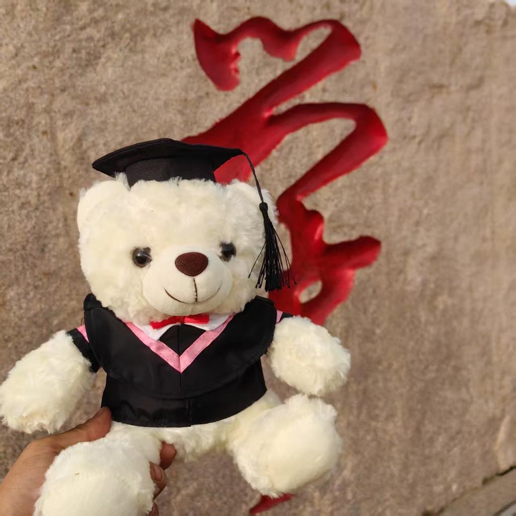 Spielzeug Abschluss Dr. Bärendoll Abschlussbär Schulerinnerungsgeschenk