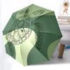 Accesorii – Umbrele