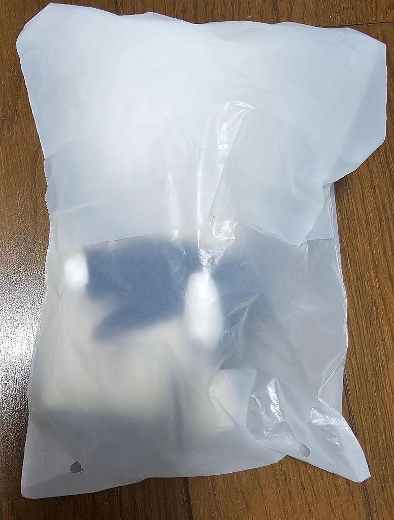 [USED] Stray Kids SKZOO Genieretto Mini Plush Toy