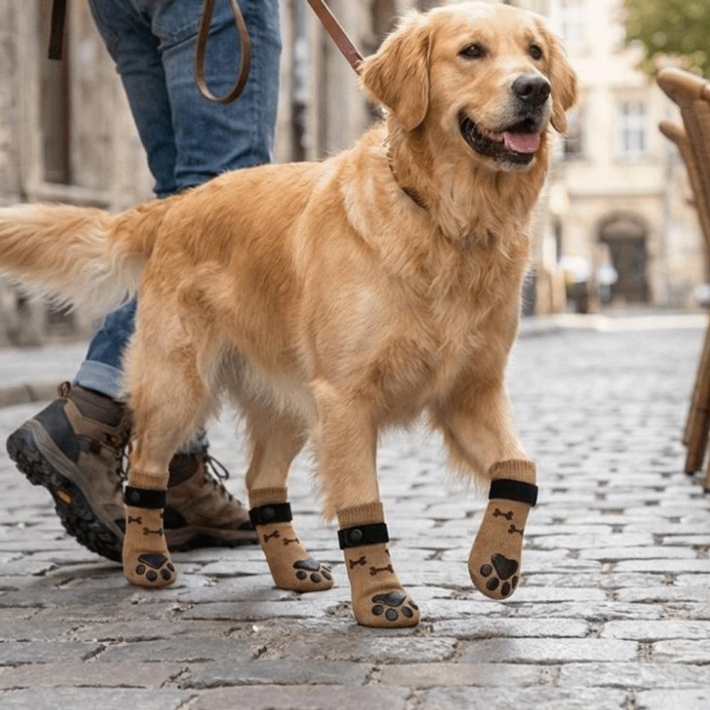 Anti-scratch Anti-slip Dog Socks Dirt-proof Foot Protector Puppy Foot Cover Wooden Floors