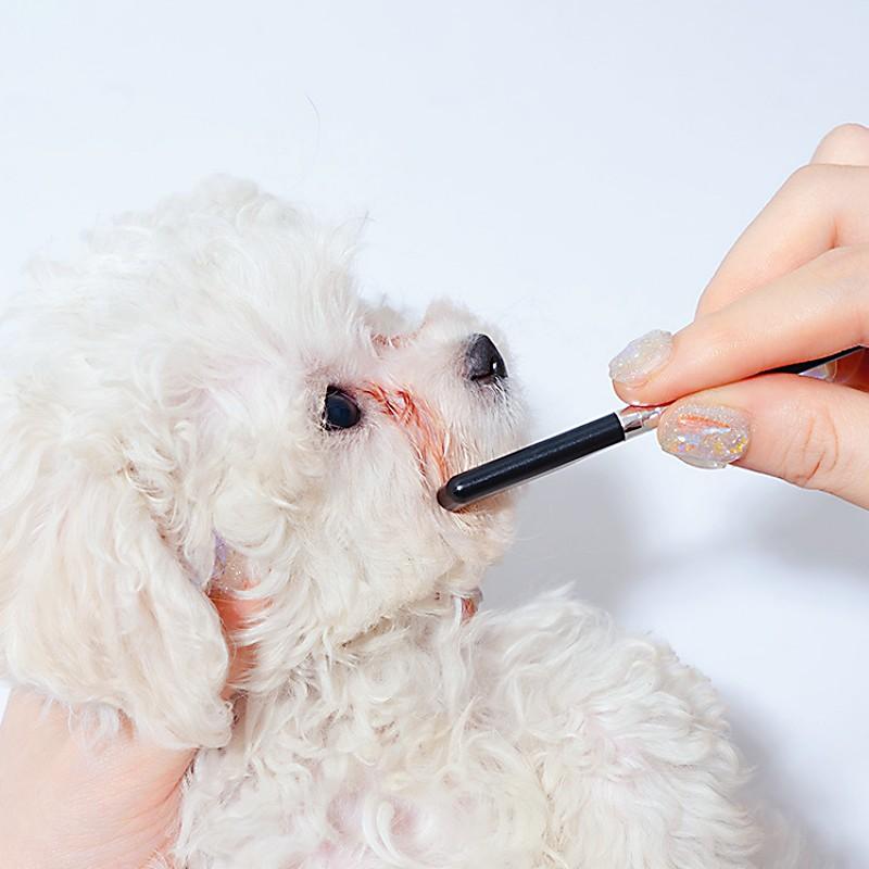 Dog Comb Mini Face Brush for Puppy Comb Dogs Eye Brush Mouth Hair Brush for Cat Tears Cleaning Dog Grooming Pet Hair Remover