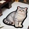 Non-slip Animal Doormat Special-shaped Room Floor Rug New Cat Dog Carpet  Bedroom Living Room Decor