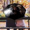 Rebellion Unity Chaos Folding umbrella 8 paraphenoid bones Portable Umbrella travel light