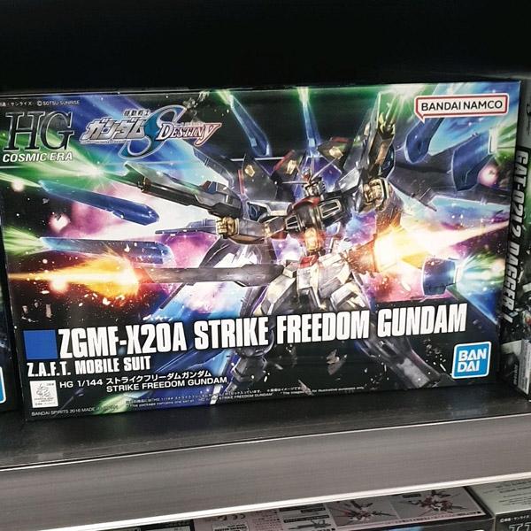 HGCE Strike Freedom Gundam One thing