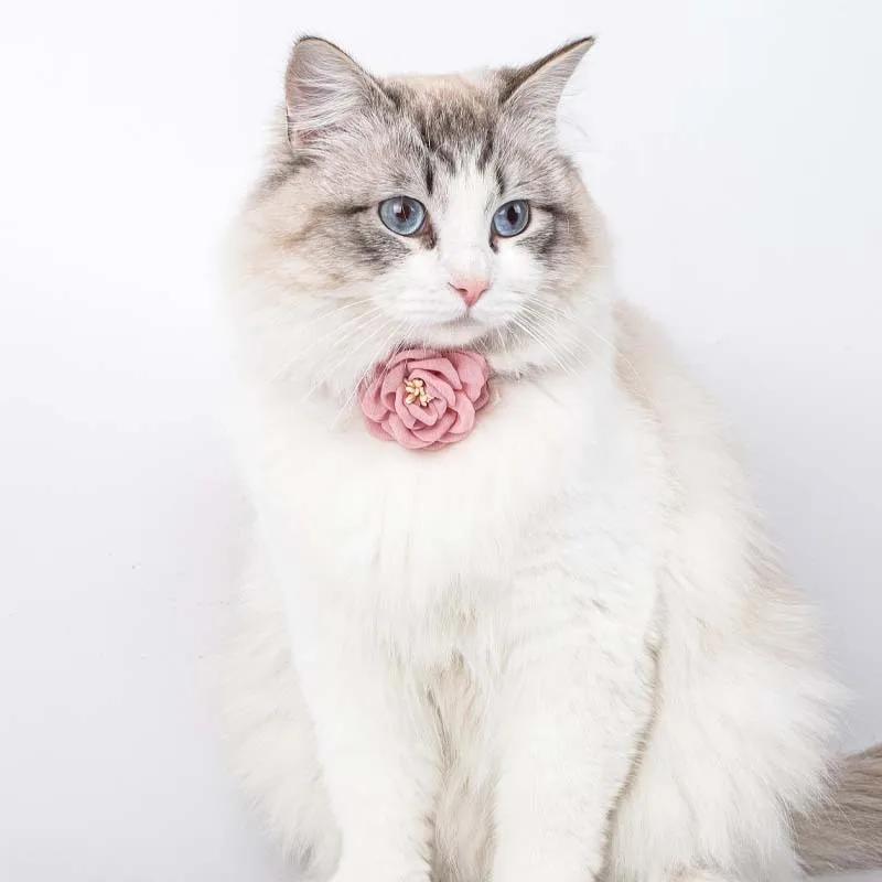 Pet Collars New Cat Camellia Flower Cat Collars Cute Princess's Birthday Adjustable Dog Dressing Tool Pet Accessories Supplies